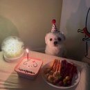 강아지잔칫집 이미지