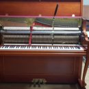 가야중학교 이미지