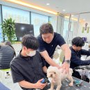 스카이 애견 이미지