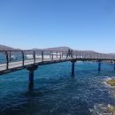 바람의언덕 이미지