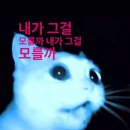 내꿈들