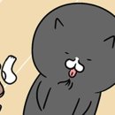 단발냥 이미지