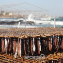 임곡회식당 이미지