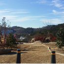 덕례생태놀이터 이미지