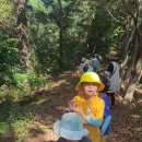 성분도어린이집 이미지