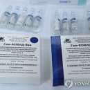 스푸트니크