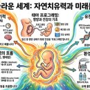 우주산전 | [산전산후 건강관리] 태아 프로그래밍과 산모를 위한 아로마테라피: 과학적 태교와 자연 치유력 강화법