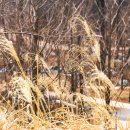 미성동-28 이미지