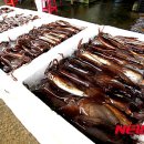 서망항1 이미지