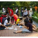 두꺼비상사 이미지