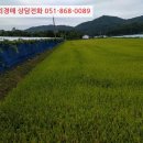 기리경로당 이미지