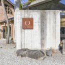 강하연 첼로 독주회 이미지