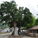 무주반디인력 이미지