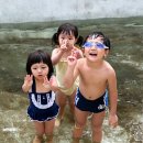 세윤 Daum카페