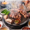 바다를 품은 돼지 이미지