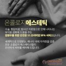 라라퀸뷰티