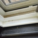 푸르지오 | 음성 이사청소 푸르지오 보증금 무사 반환 후기