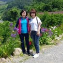 영신농장-1 이미지