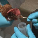 영암농장 이미지