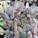 지혜의샘터 이미지