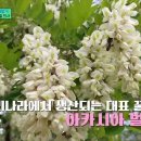 한국양봉농협 동물병원 이미지