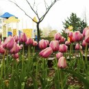 연지공원2 이미지