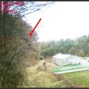 방일3리 마을회관 이미지