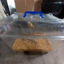 금와농장 이미지