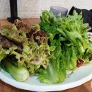 장수남자경로당 | 부산 동래 맛집 신선한 쌈 채소가 가득한 온천천 장수쌈밥 불고기