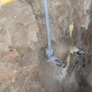 온수약국 이미지