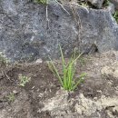 우애3농장 이미지