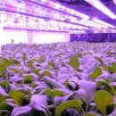 한세계농장 이미지