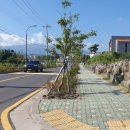 도남자동차공업사 이미지