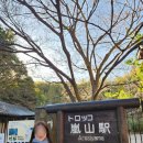 P-7305 | [일본 교토/오사카] 3박4일 일본 여행일지 Day 2 (아라시야마 치쿠린, 텐류지, eX 카페, 도게츠교...