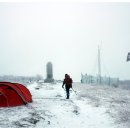 바람개비 이미지