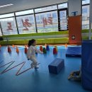 경희체육관(태권도) | 유치부 체육활동 &amp; 과자파티 후기😍