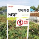 민재목장 이미지