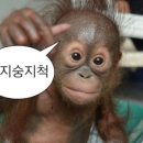 짱서방 - 수성구 국채보상로192길 37 | 짱서방