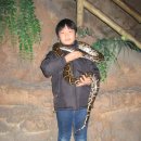 판곡초등학교 이미지