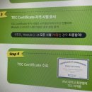초등영어지도사(자격증) 티스토리