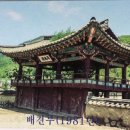 사당 티스토리