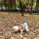 즐거운유치원 이미지