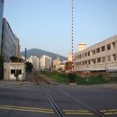 안락시장 이미지