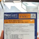 연지약국 - 부산진구 새싹로 157-2 | 연지약국