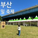 제이제이푸드시스템부산면가 | 2026. 5월 주말 나들이 _ 부산 밀페스티벌 (초등학생과 20개월 아기가 함께 즐긴 축제)