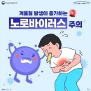 충무어린이집 | 생굴먹고 노로바이러스... 아이들까지 전염 식당보험배상 후기(더러움주의)