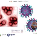 온기담은 한의원 이미지