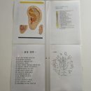대전 체형교정 잘 하는 대한 약손약발스포츠수련원 탄방동 스포츠마사지