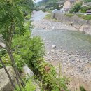 금강송면사무소 이미지