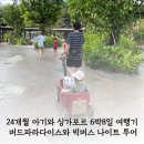빅버드투어